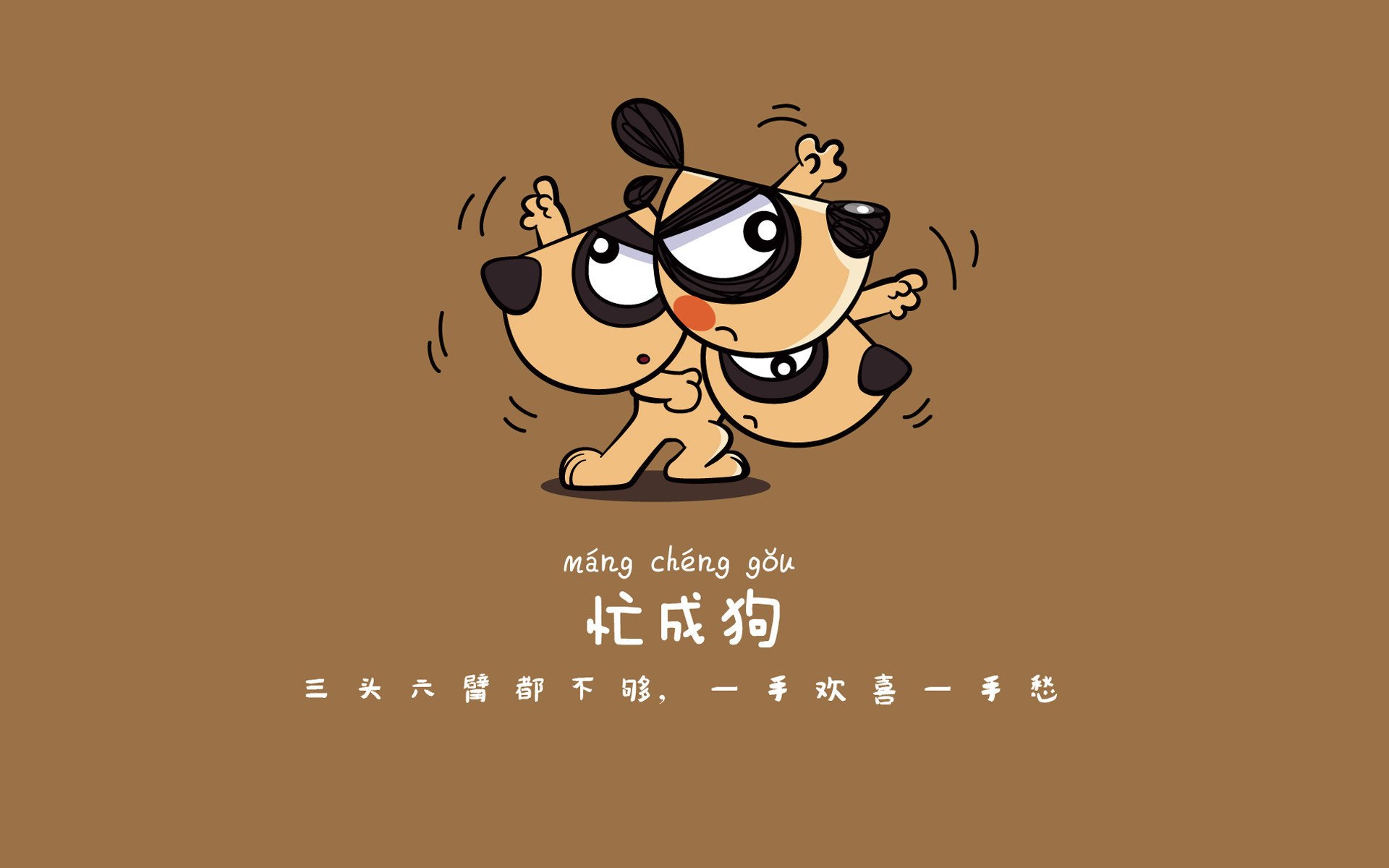 足坛焦点：国足教练组调整幕后揭秘，国足教练团队成员