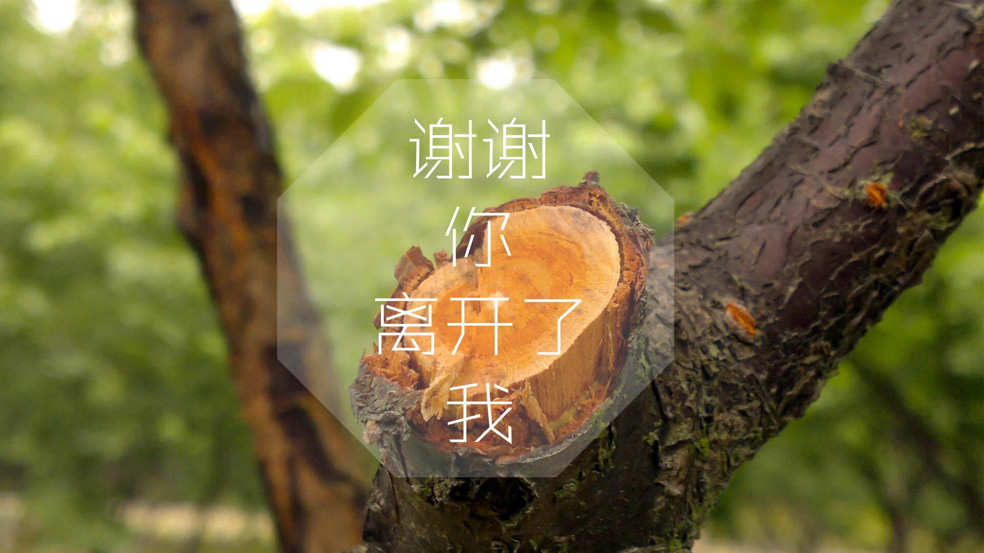 法甲球队通过高强度训练调整比赛中体能分配策略，法甲水平如何