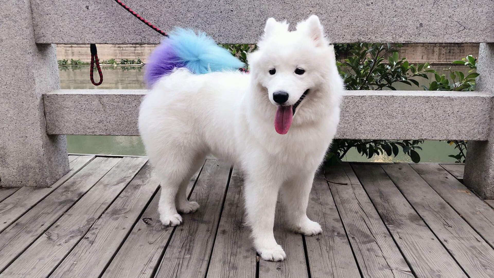 极限运动赛事内容进入短剧平台试点,极限运动表演