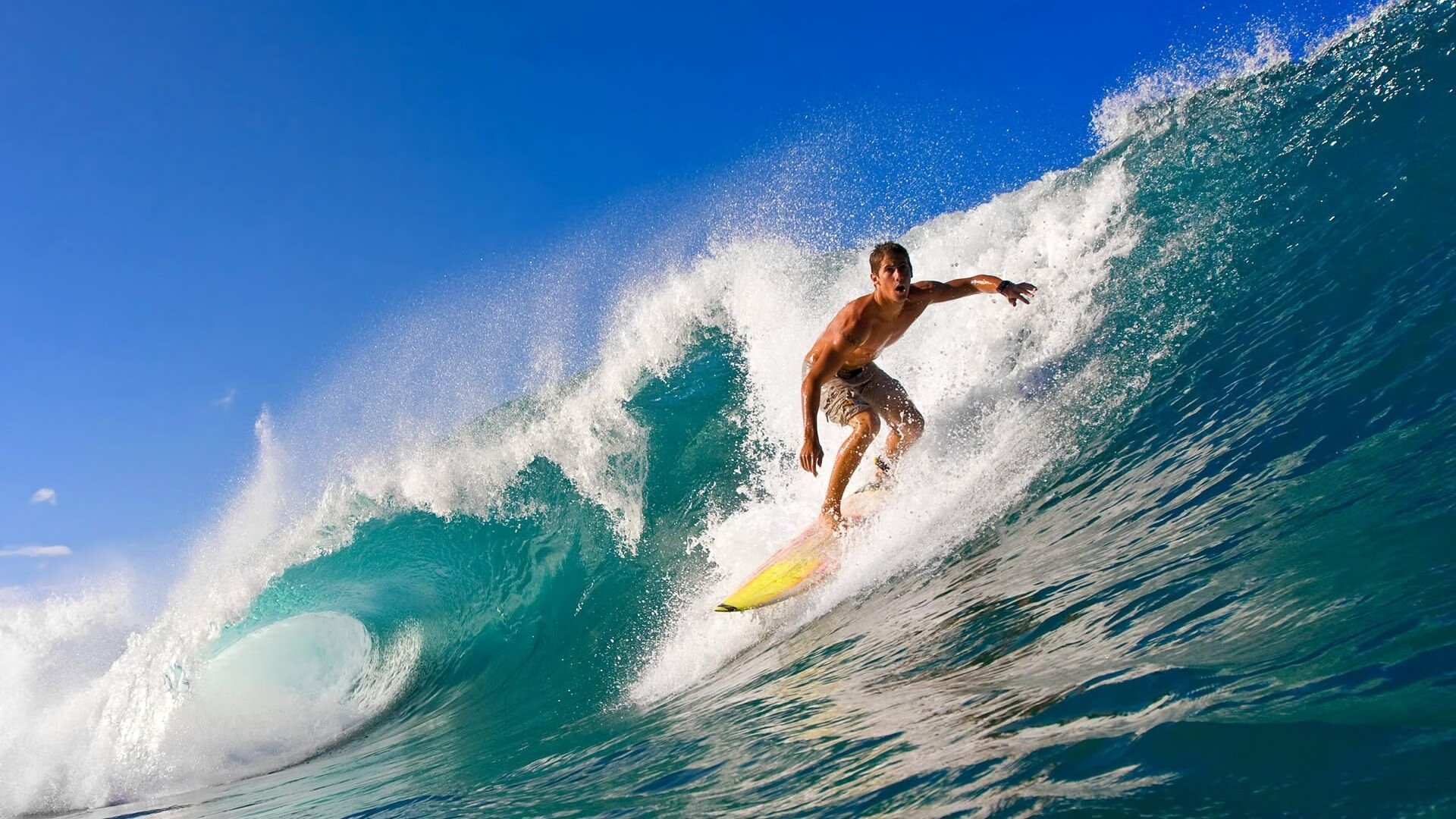 WRC失误瞬间：车手如何应对挫折？，wrc车手技术