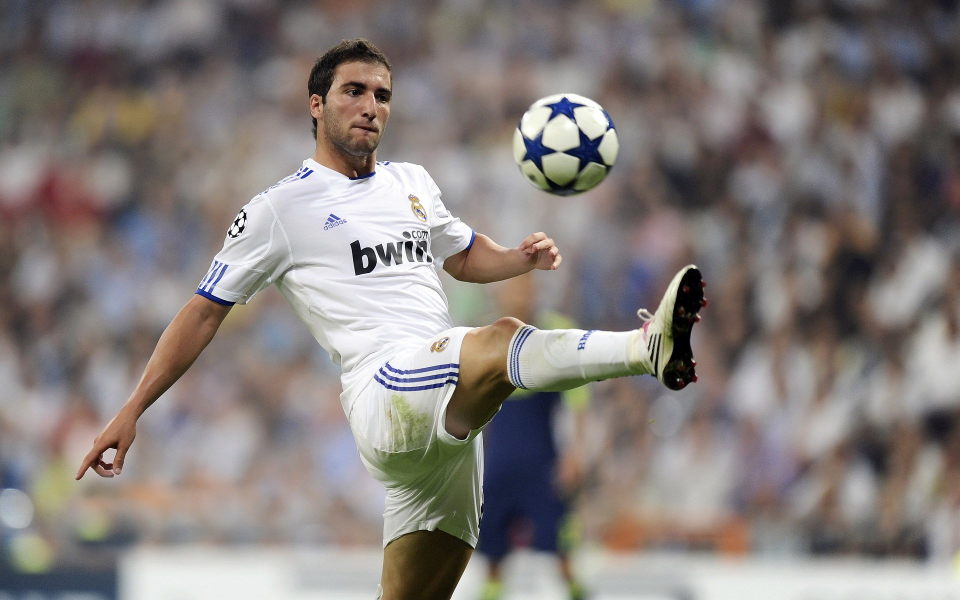 _室内排球锦标赛：不同场地同样精彩_，室内排球的比赛场地